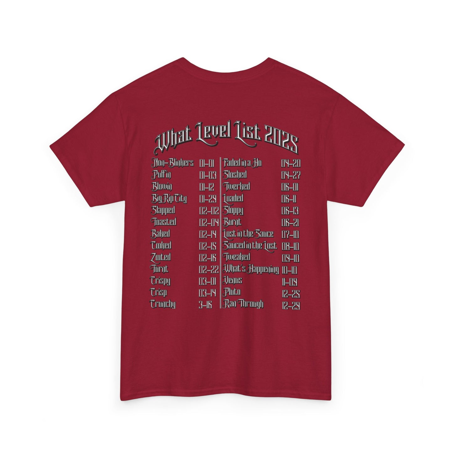Blinky Havers 2025 Level List Tee