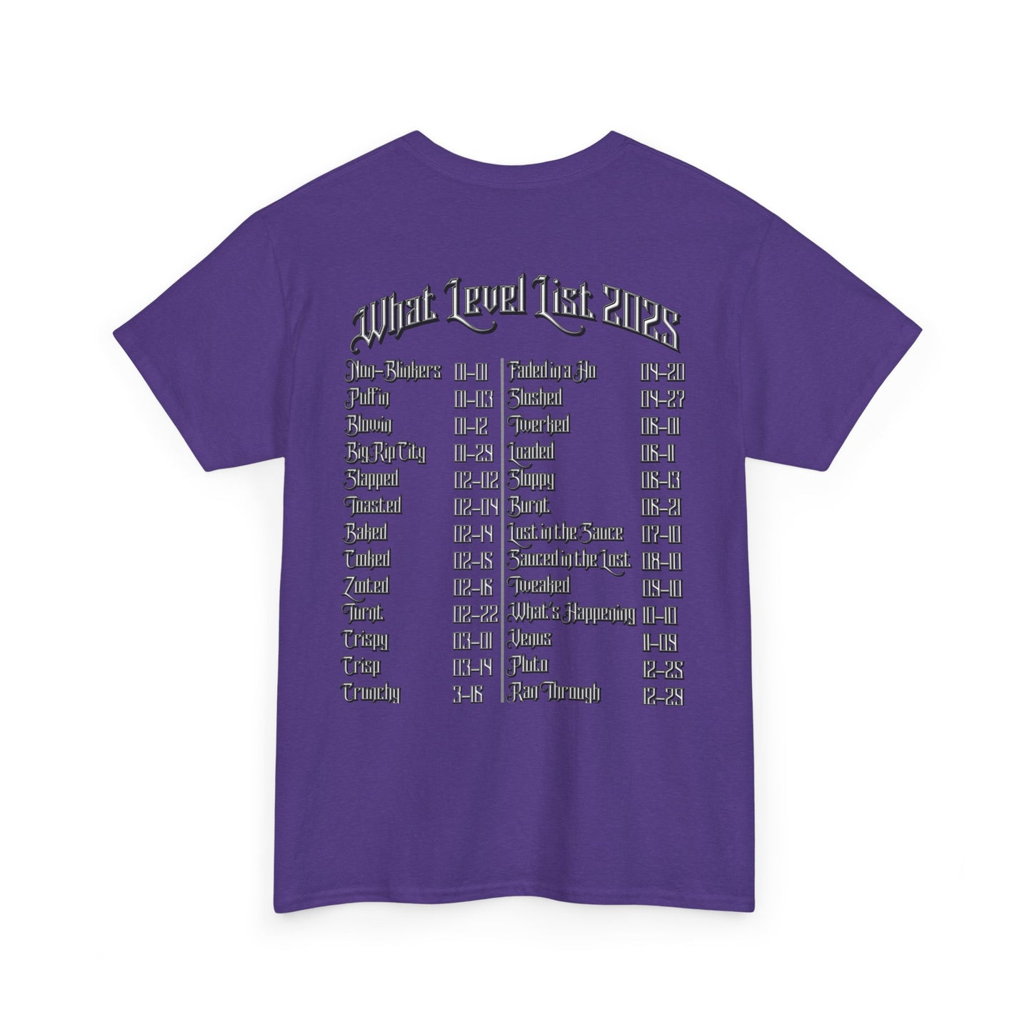 Blinky Havers 2025 Level List Tee