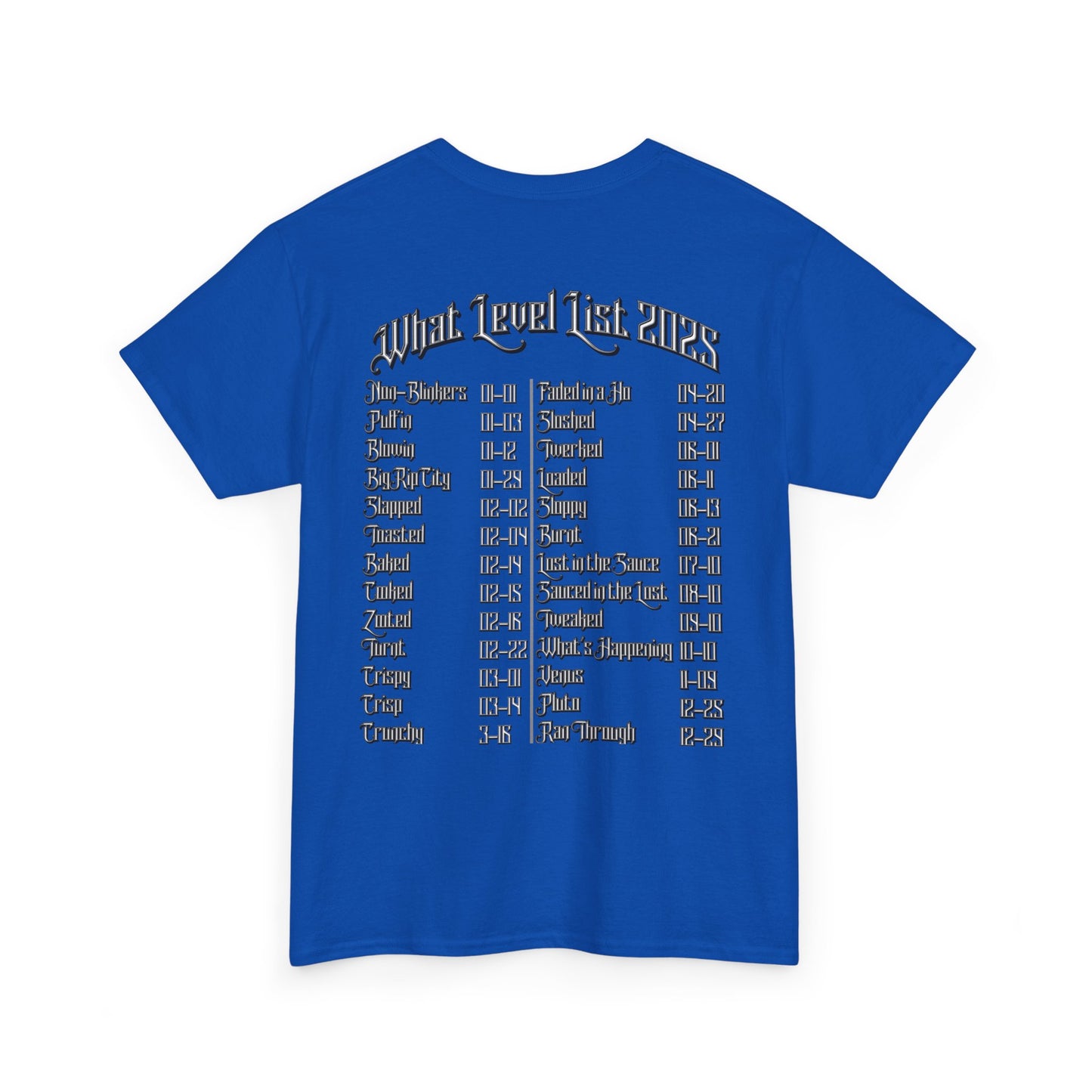 Blinky Havers 2025 Level List Tee