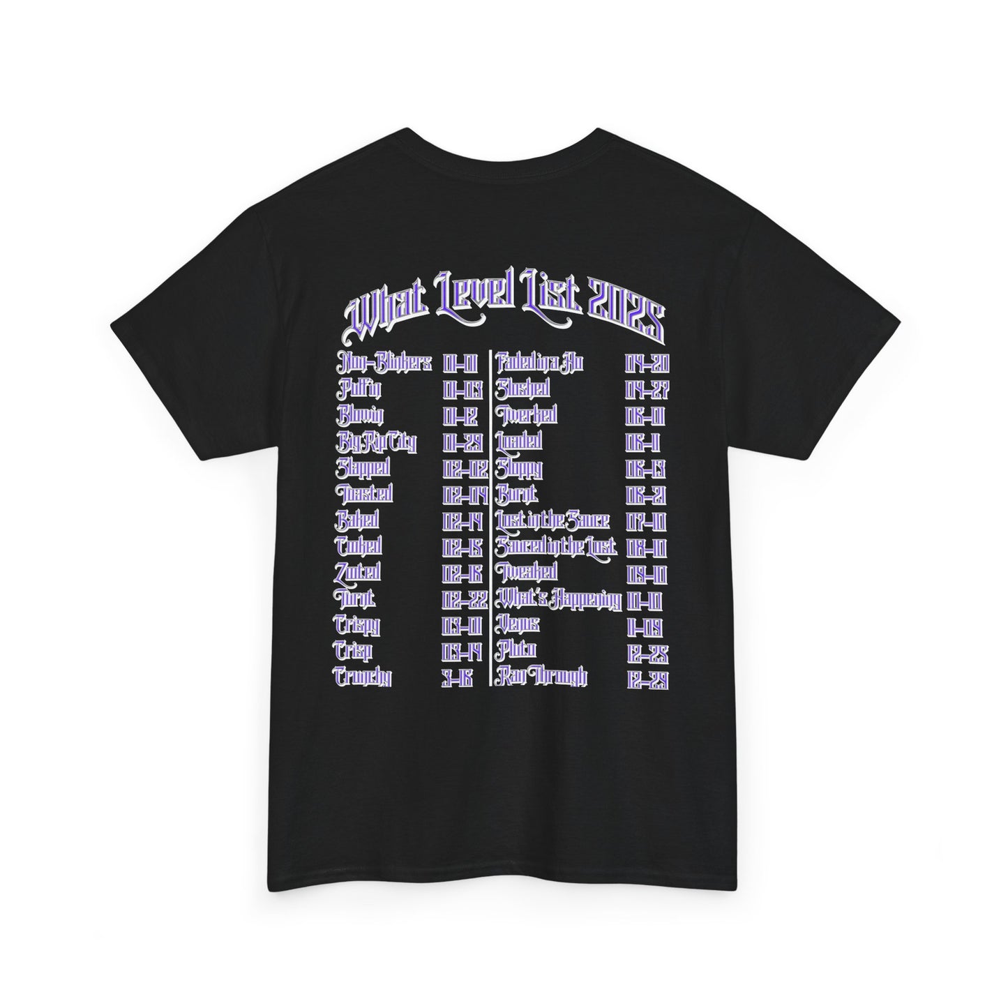 Blinky Havers 2025 Level List Tee